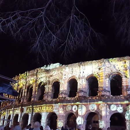 Palmiers Et Crocos Du Vieux Nimes Apartment Luaran gambar